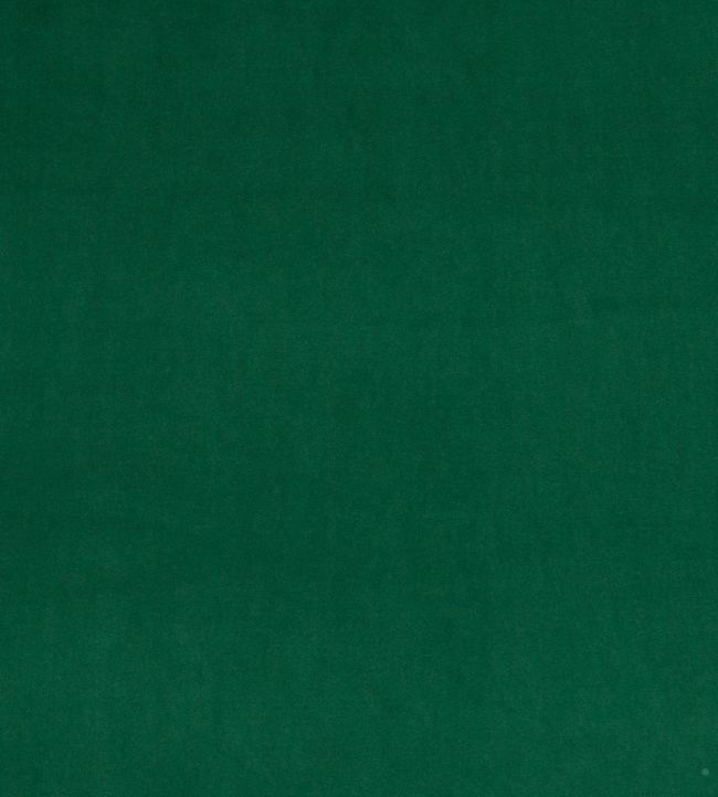 Montpellier Velvet Fabric - Bottle - Baker Lifestyle - PF50417 - 791 - Premier Wallcovering