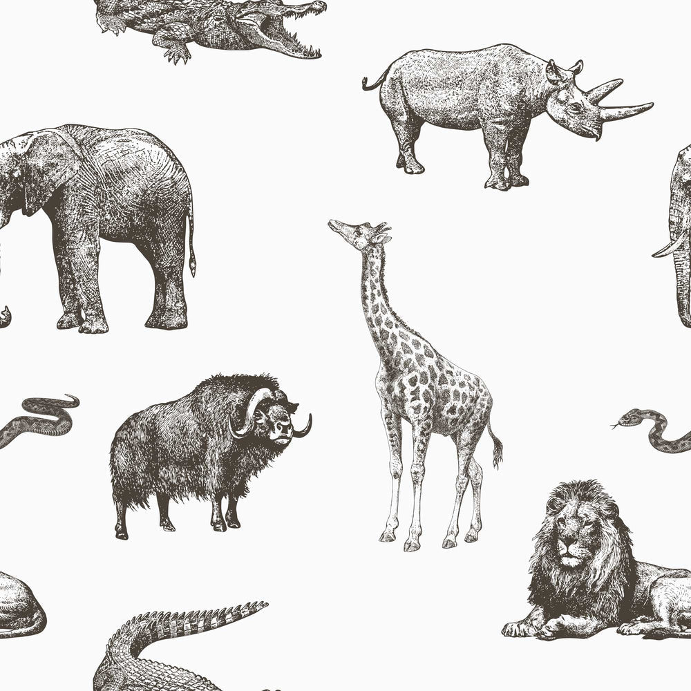 Mufasa Wallpaper - Savanna Brown - Lust Home - LH900178 - Premier Wallcovering