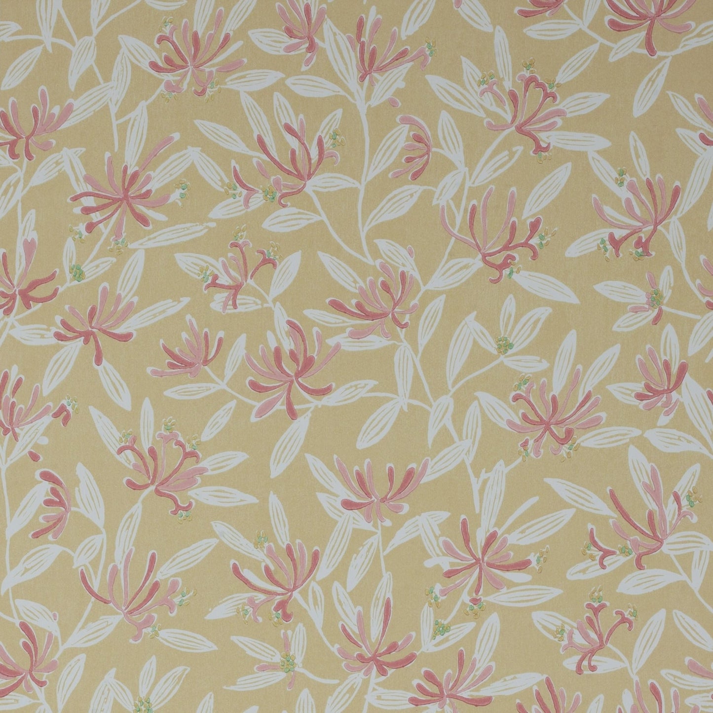 Nerissa Wallpaper - Yellow - J174W - 03 - Jane Churchill - Premier Wallcovering