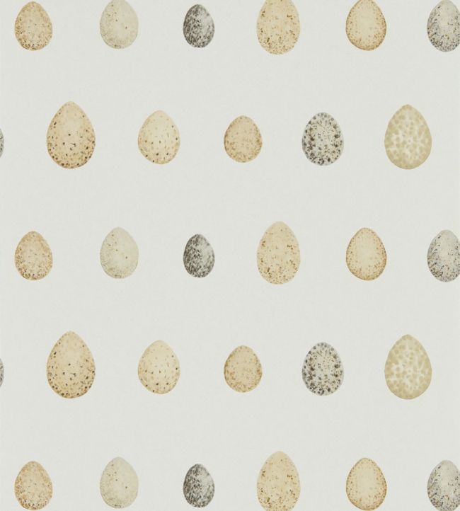 Nest Egg Wallpaper - Corn Graphite - DEBB216505 - Sanderson - Premier Wallcovering
