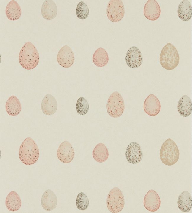 Nest Egg Wallpaper - Blush Pink - DEBB216506 - Sanderson - Premier Wallcovering
