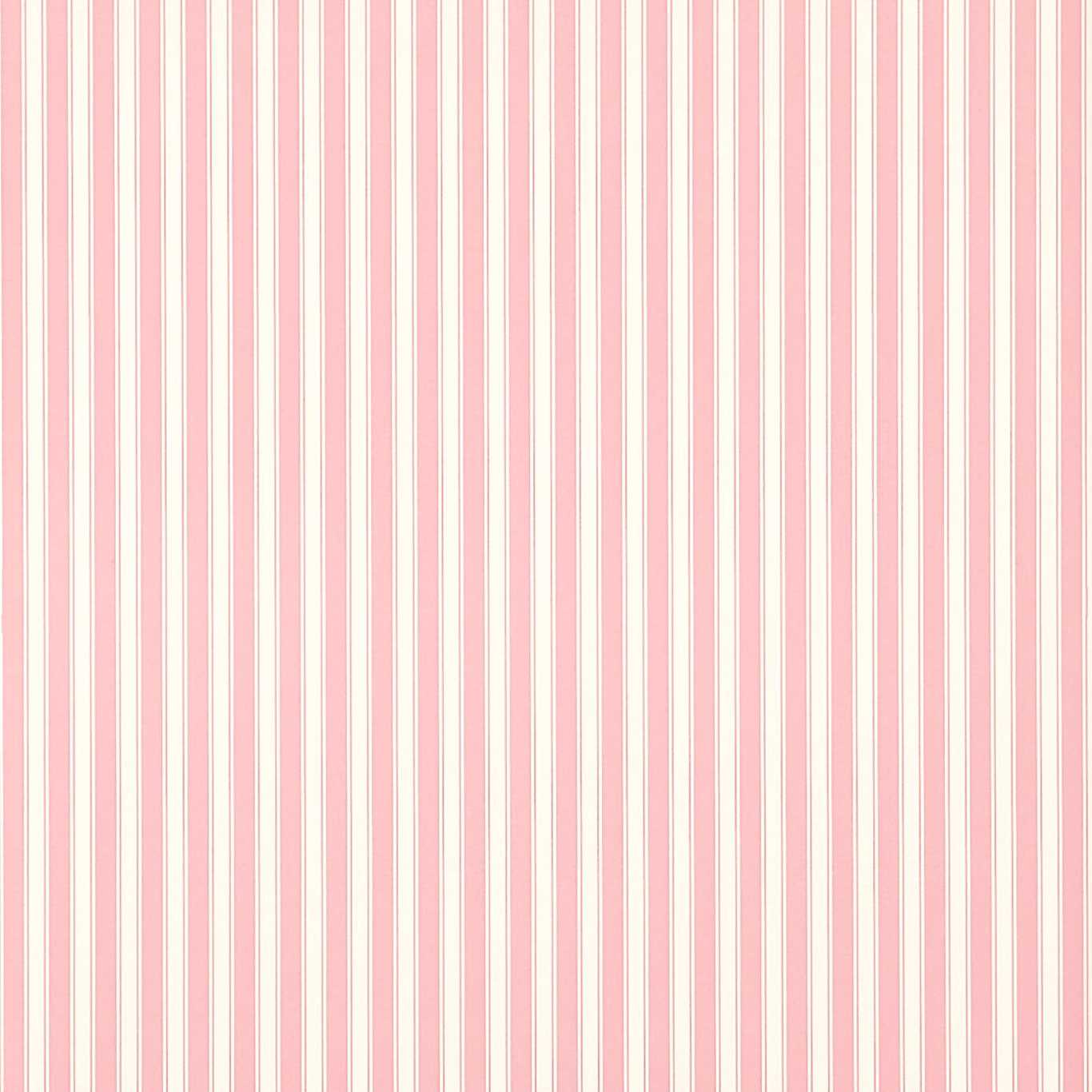New Tiger Stripe Wallpaper - Rose/Ivory - DCAVTP101 - Sanderson - Premier Wallcovering