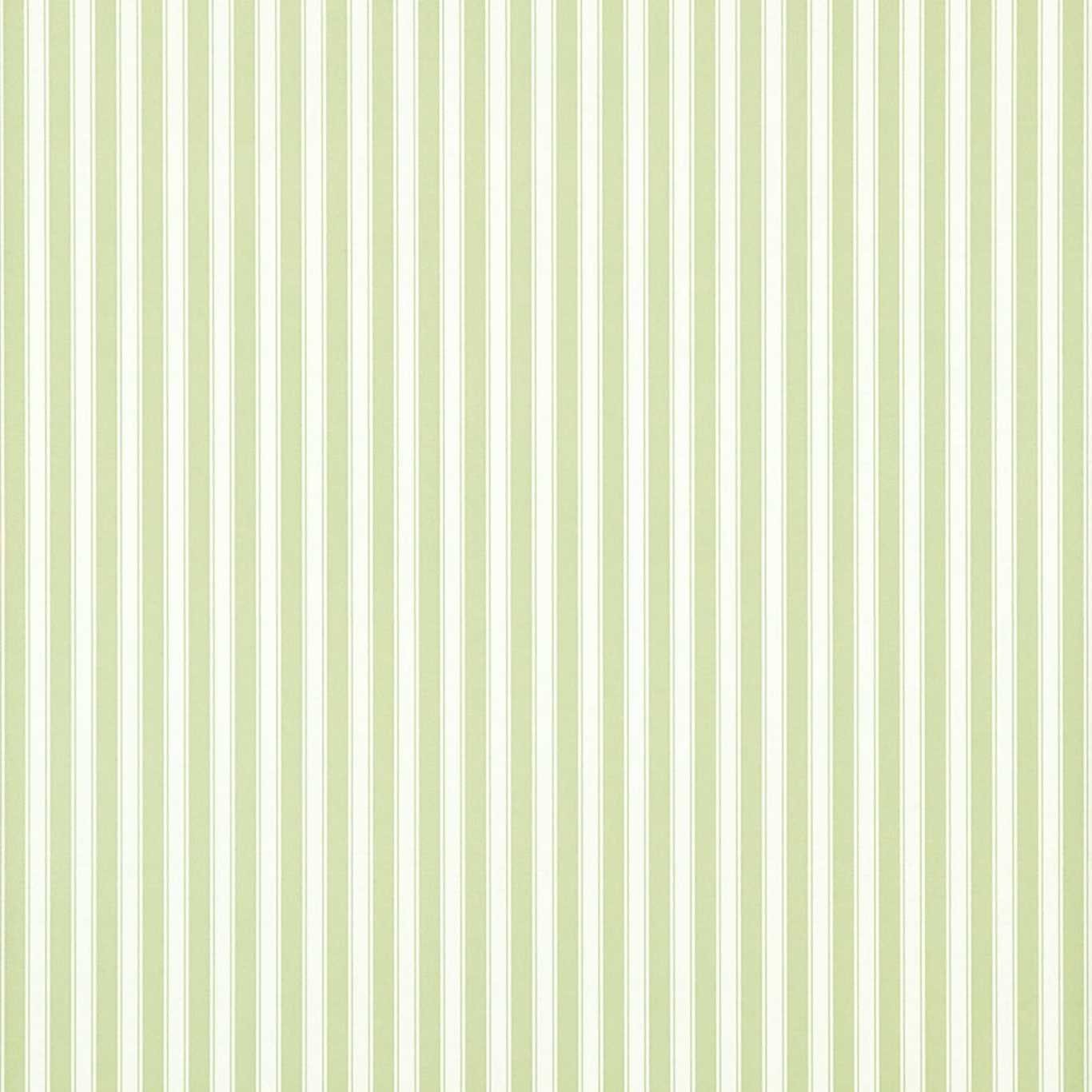 New Tiger Stripe Wallpaper - Leaf Green/Ivory - DCAVTP103 - Sanderson - Premier Wallcovering