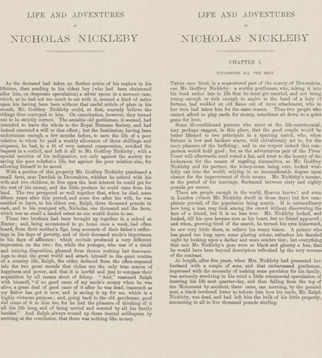 Nicholas Nickleby Wallpaper - Nickleby - Andrew Martin - SCHNN - Premier Wallcovering