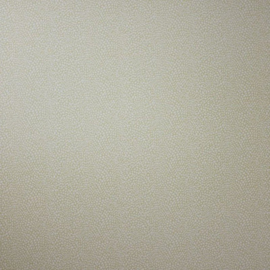 Oriole Wallpaper - Beige - Osborne & Little - W6491-04 - Premier Wallcovering