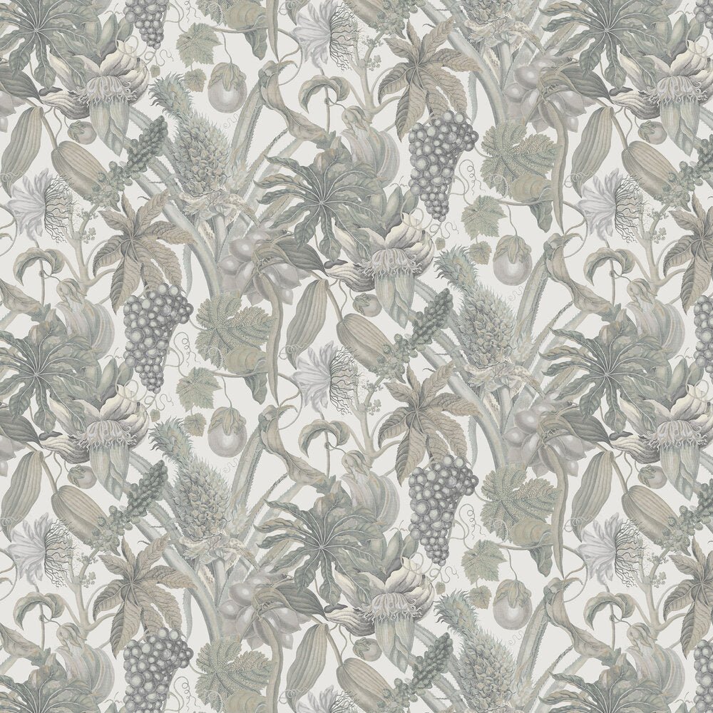 Osterley Wallpaper - Powder - Timothy Wilman - TW2461 - Premier Wallcovering