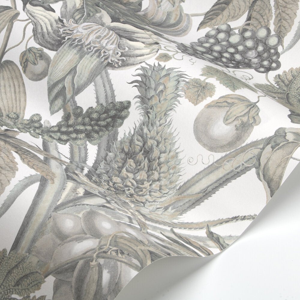 Osterley Wallpaper - Powder - Timothy Wilman - TW2461 - Premier Wallcovering