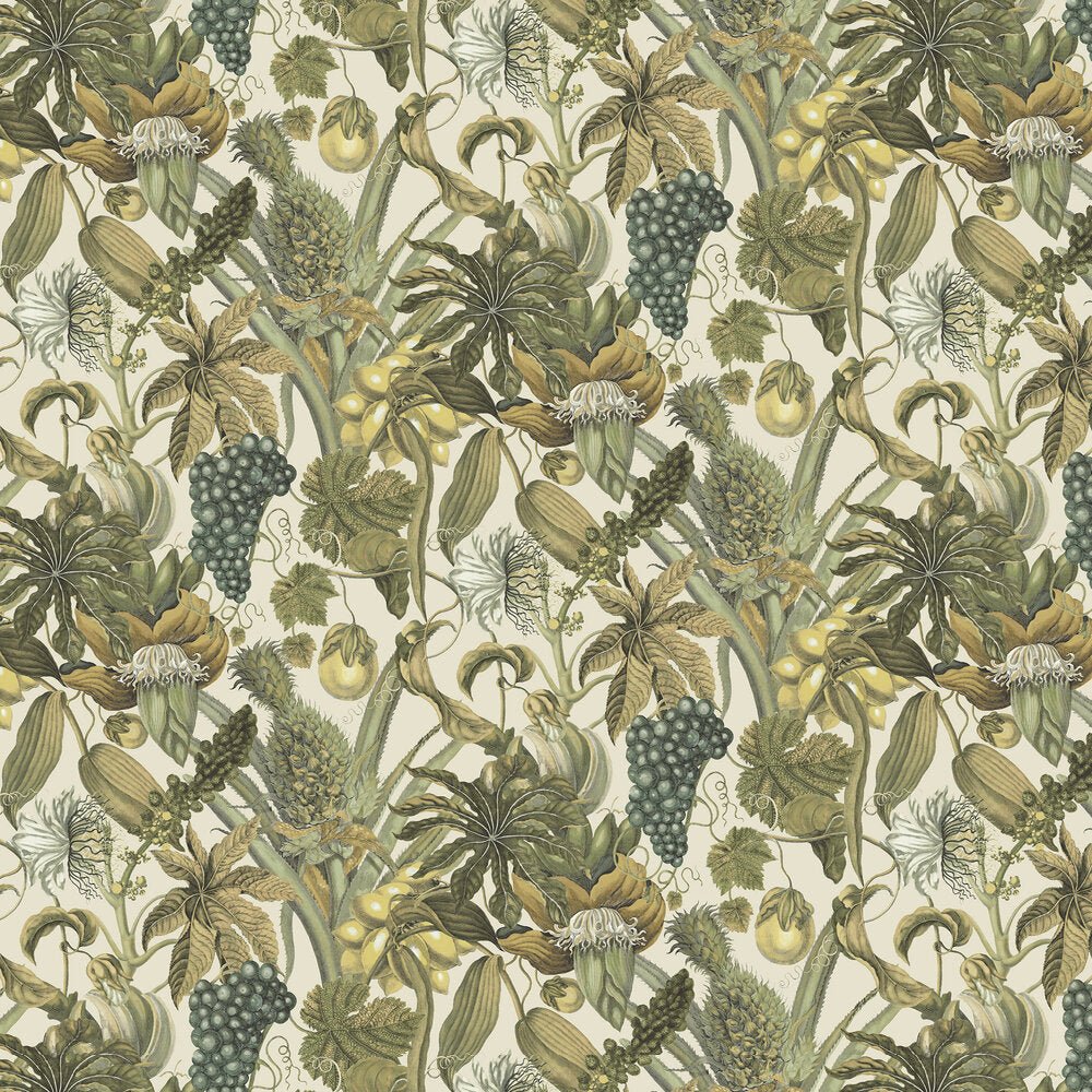 Osterley Wallpaper - Sepia - Timothy Wilman - TW2463 - Premier Wallcovering