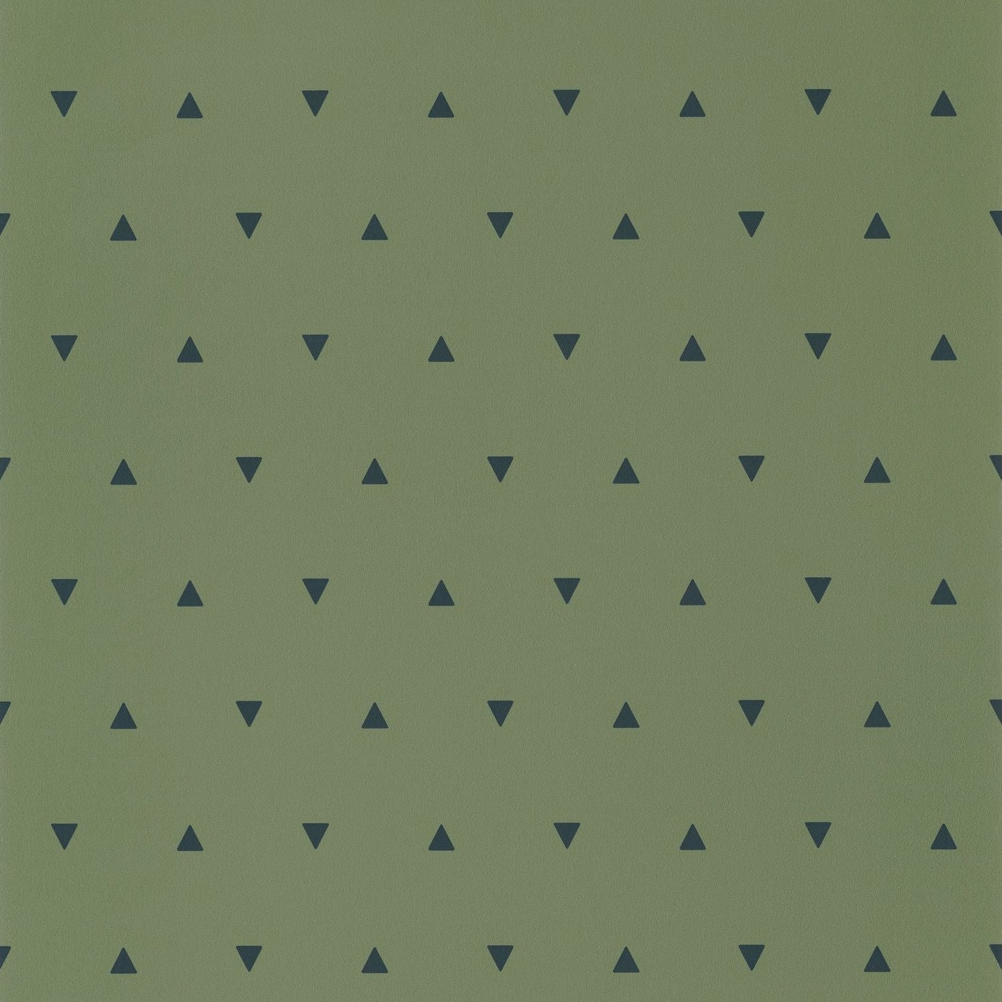 Our Planet Bermuda Triangle Wallpaper - Vert Kaki - Caselio - 101997400 - Premier Wallcovering