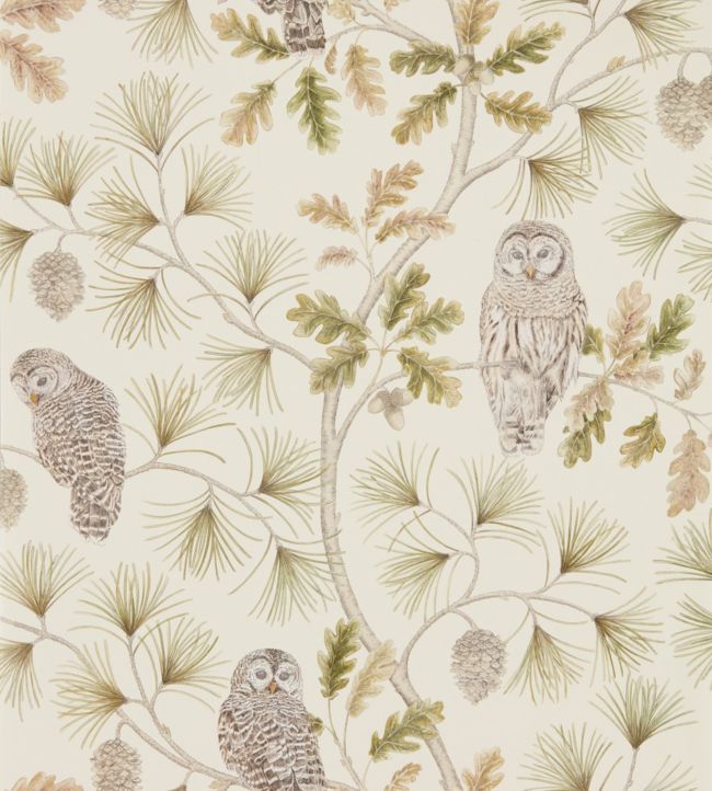 Owlswick Wallpaper - Briarwood - DYSI216597 - Sanderson - Premier Wallcovering
