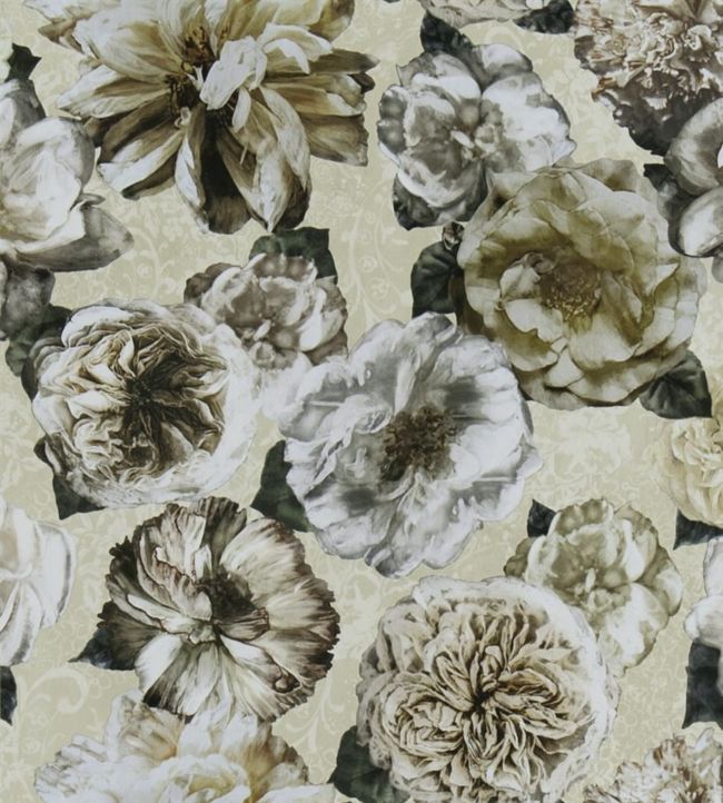 Pahari Wallpaper - Vanilla - PDG1128/03 - Designers Guild - Premier Wallcovering