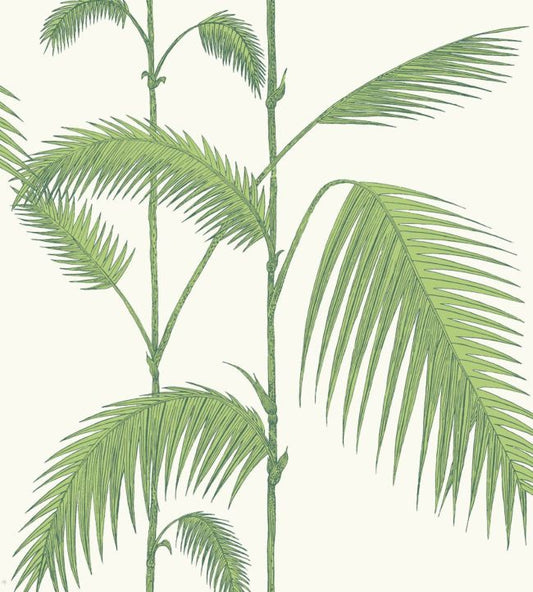 Palm Leaves Wallpaper - Olive Green on White - 95/1009 - Cole & Son - Premier Wallcovering