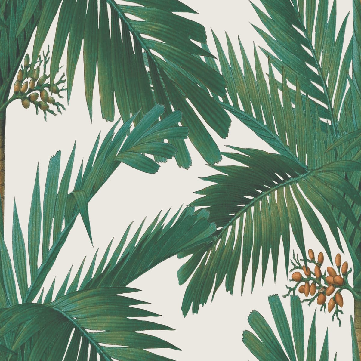 Palm Spring Wallpaper - Pearl - Rebel Walls - R17572 - Premier Wallcovering