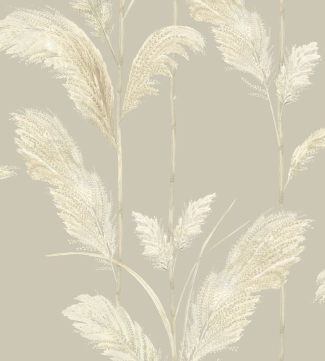 Pampas Grass Wallpaper - Neutral Grey - Brand McKenzie - BMTD001/10B - Premier Wallcovering