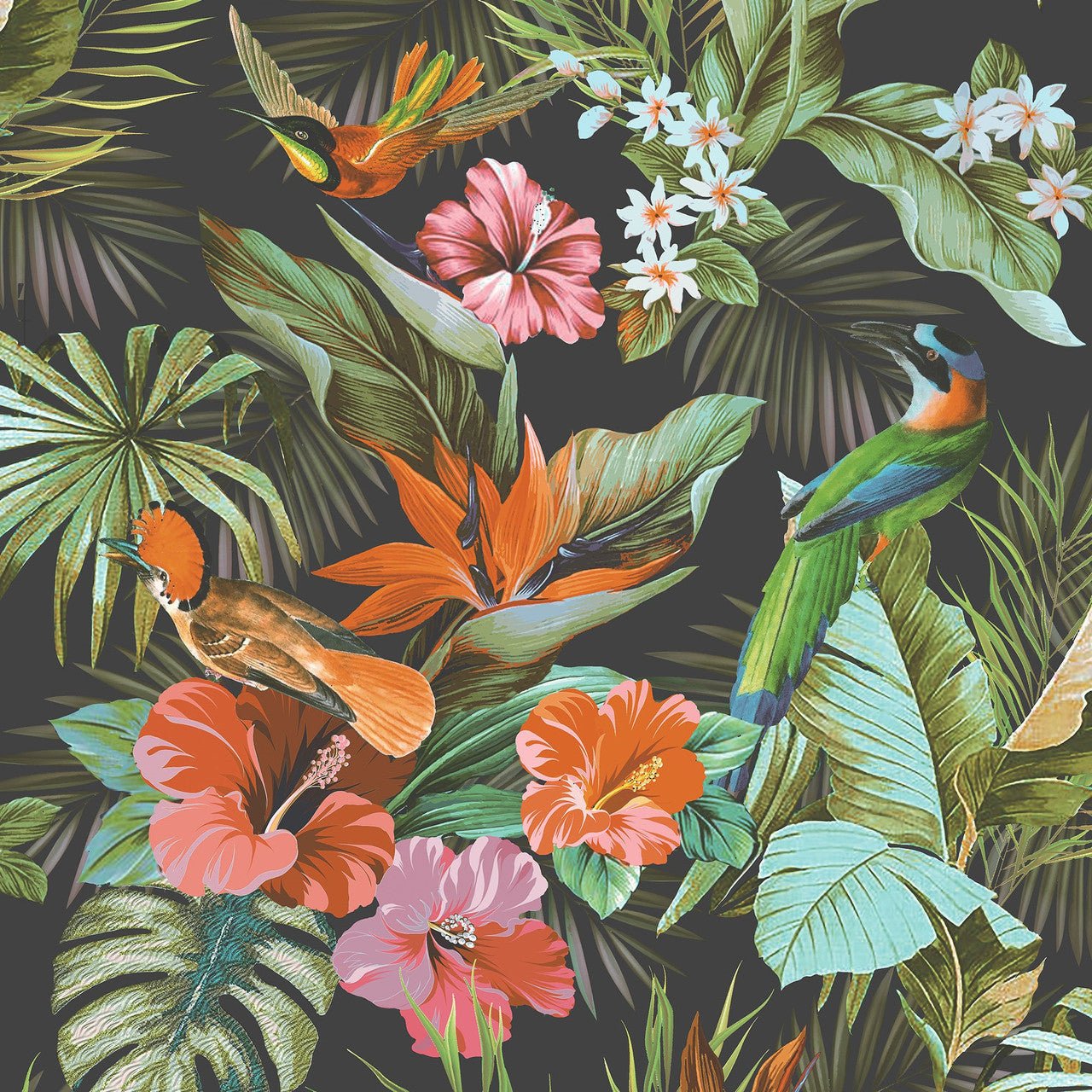 Paradise Birds Vasari Wallpaper - Black Multi - Rasch - 539059 - Premier Wallcovering