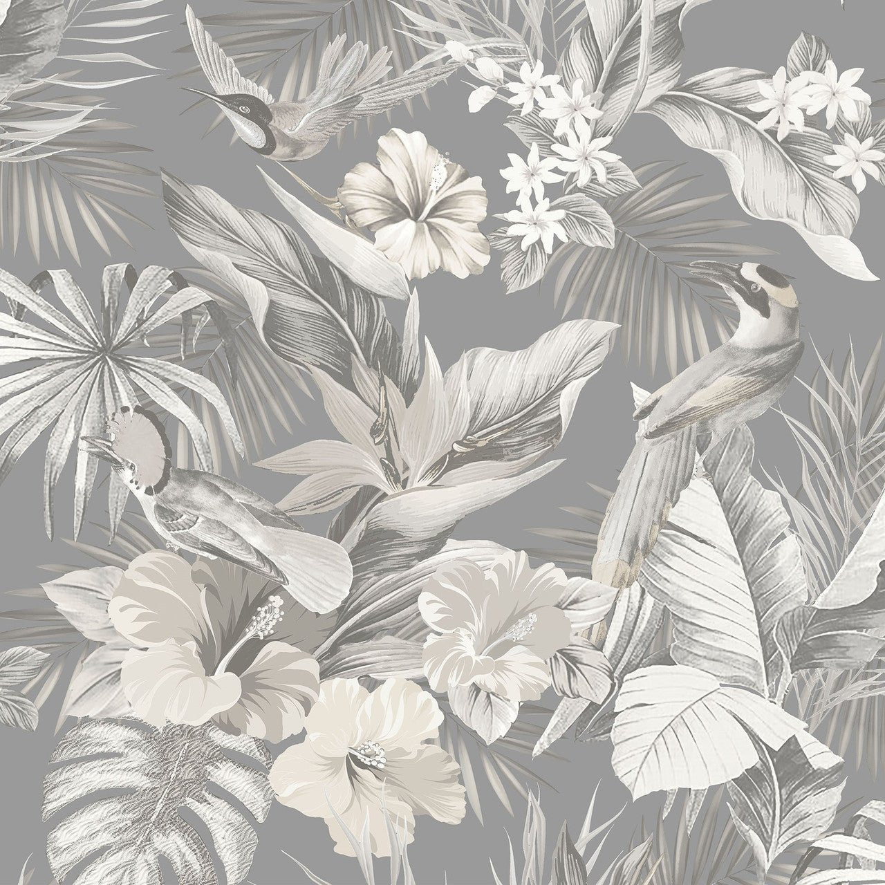 Paradise Birds Vasari Wallpaper - Grey - Rasch - 539073 - Premier Wallcovering