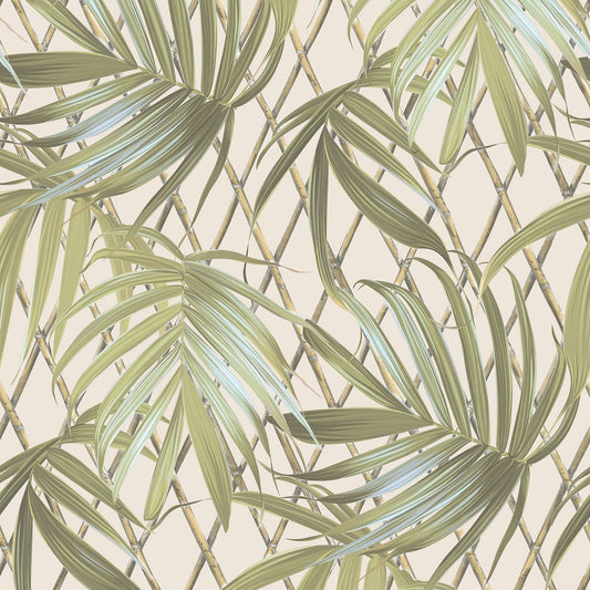 Paradise Palm Vasari Wallpaper - Green - Rasch - 539561 - Premier Wallcovering