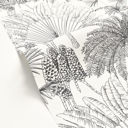Paradisia Wallpaper - Blanc Noir - Caselio - 104330956 - Premier Wallcovering