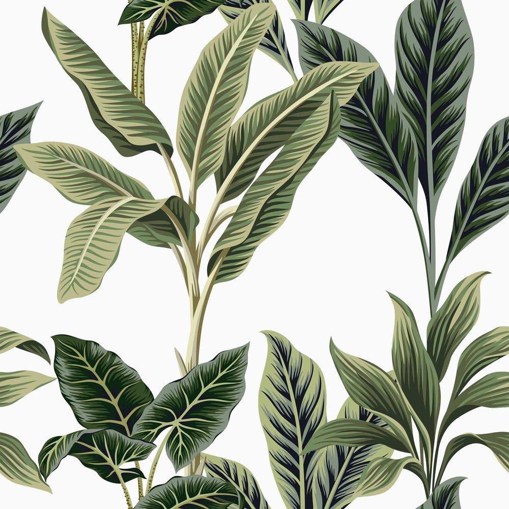 Paradiso Wallpaper - Leaf Green - Lust Home - LH900133 - Premier Wallcovering