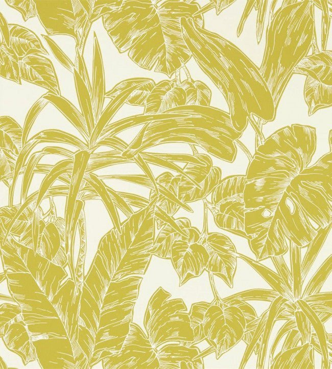 Parlour Palm Wallpaper - Citrus - NZAW112022 - Scion - Premier Wallcovering
