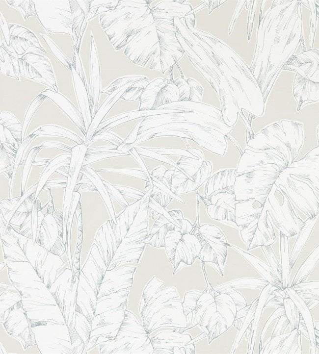 Parlour Palm Wallpaper - Raffia - NZAW112026 - Scion - Premier Wallcovering