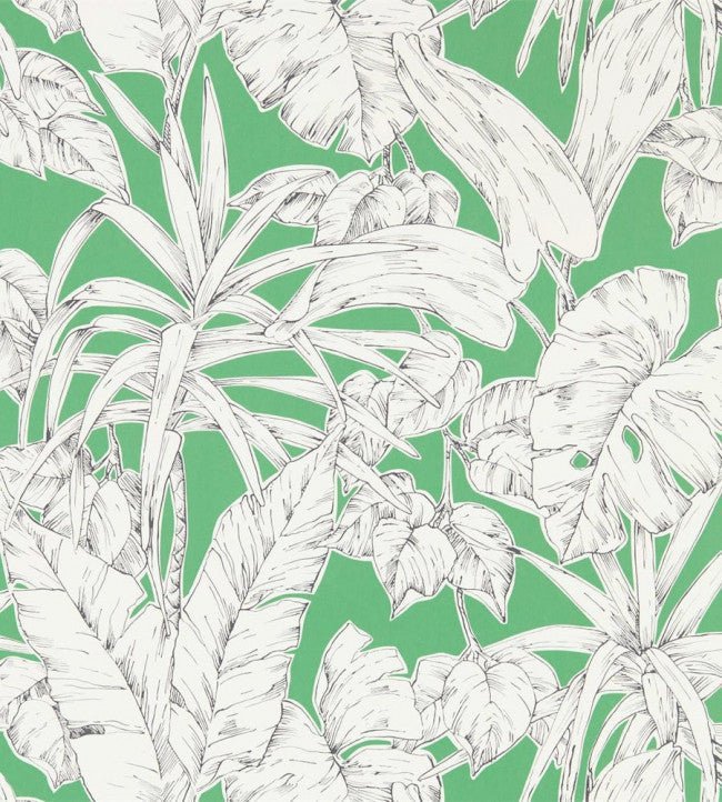 Parlour Palm Wallpaper - Gecko - NZAW112024 - Scion - Premier Wallcovering