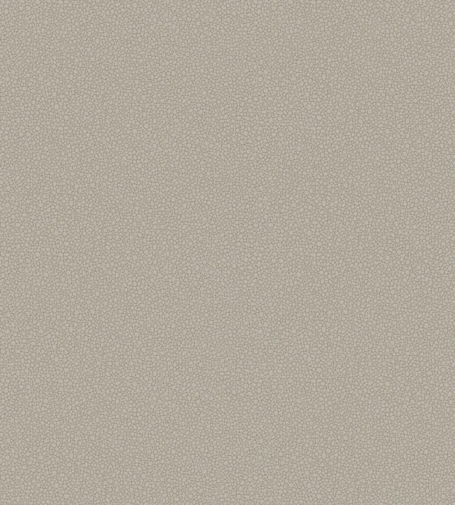 Pebble Wallpaper - Shell - 106/2016 - Cole & Son - Premier Wallcovering