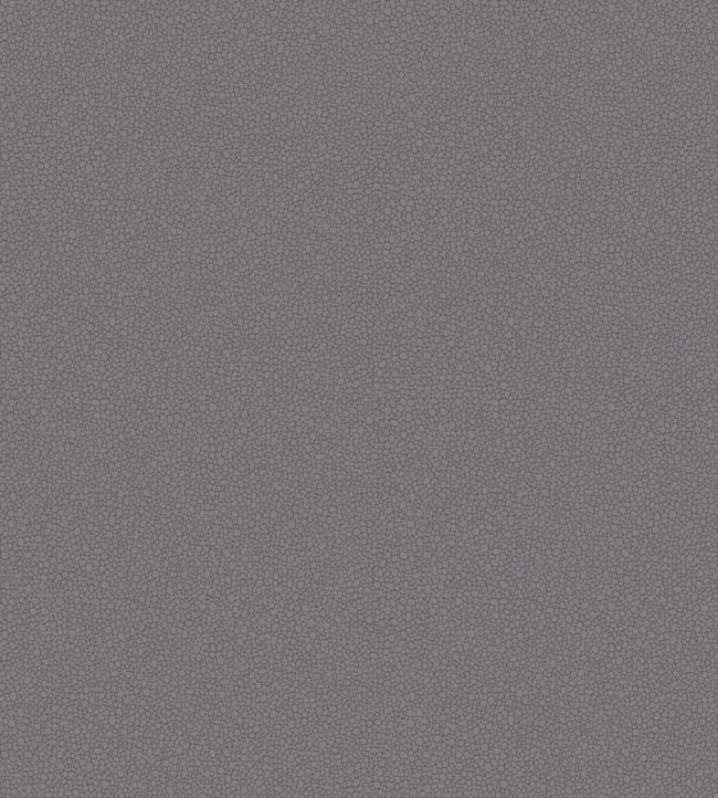 Pebble Wallpaper - Mink - 106/2015 - Cole & Son - Premier Wallcovering