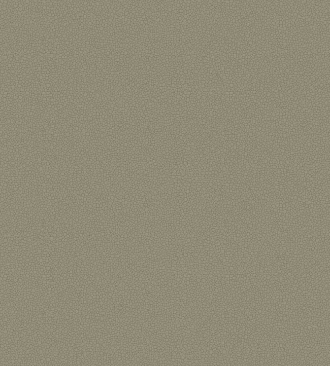 Pebble Wallpaper - Linen - 106/2020 - Cole & Son - Premier Wallcovering