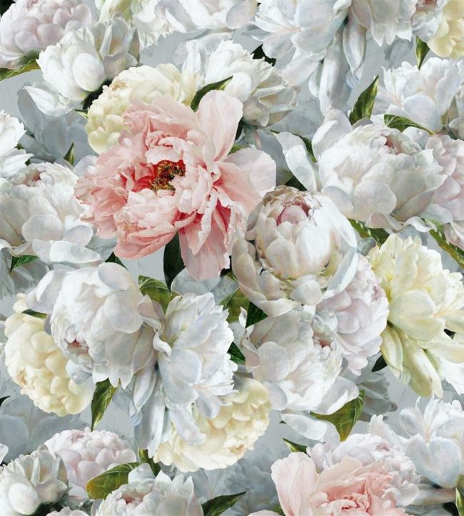 Peonia Grande Wallpaper - Zinc - PDG1102/01 - Designers Guild - Premier Wallcovering