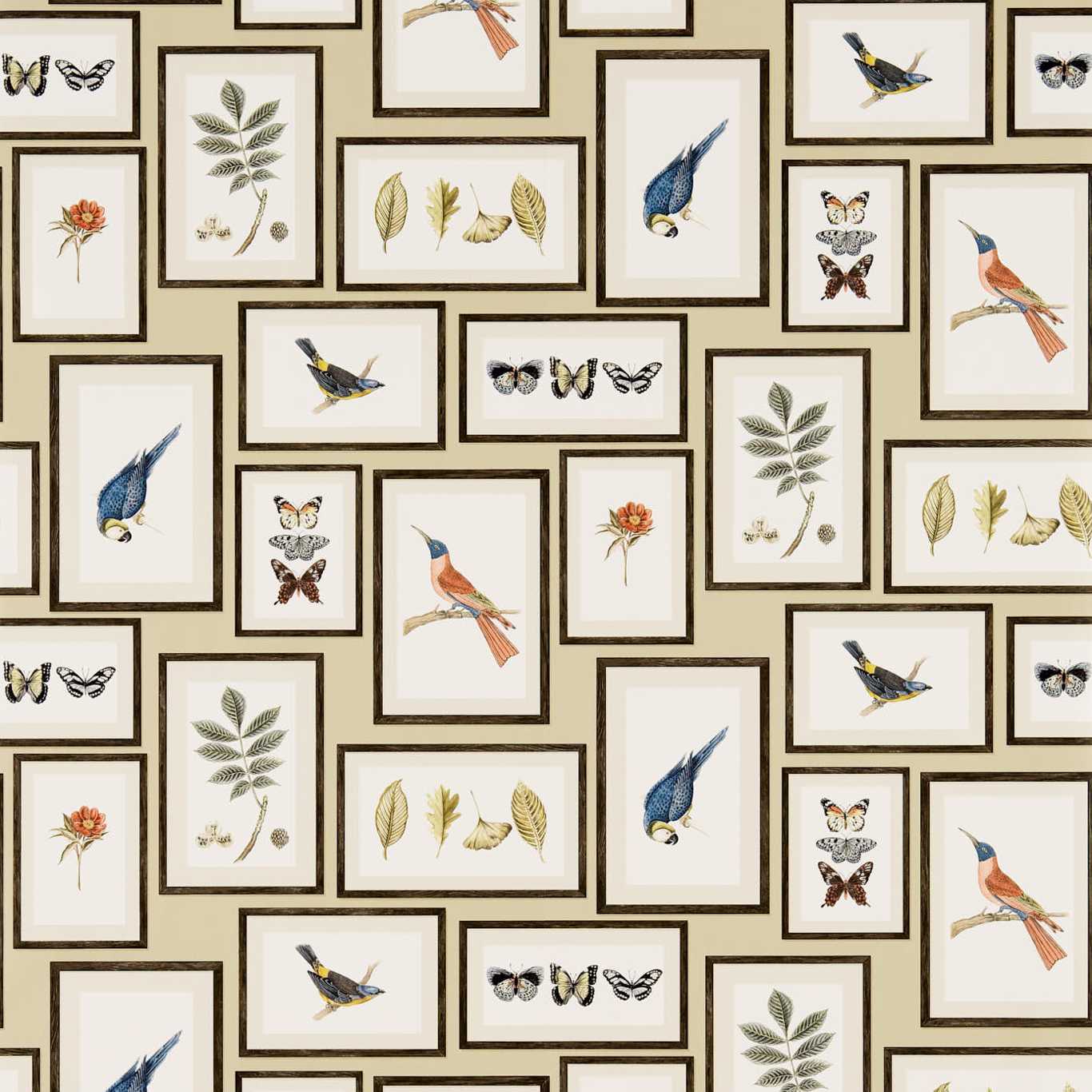 Picture Gallery Wallpaper - Aqua/Multi - DVOY213400 - Sanderson - Premier Wallcovering
