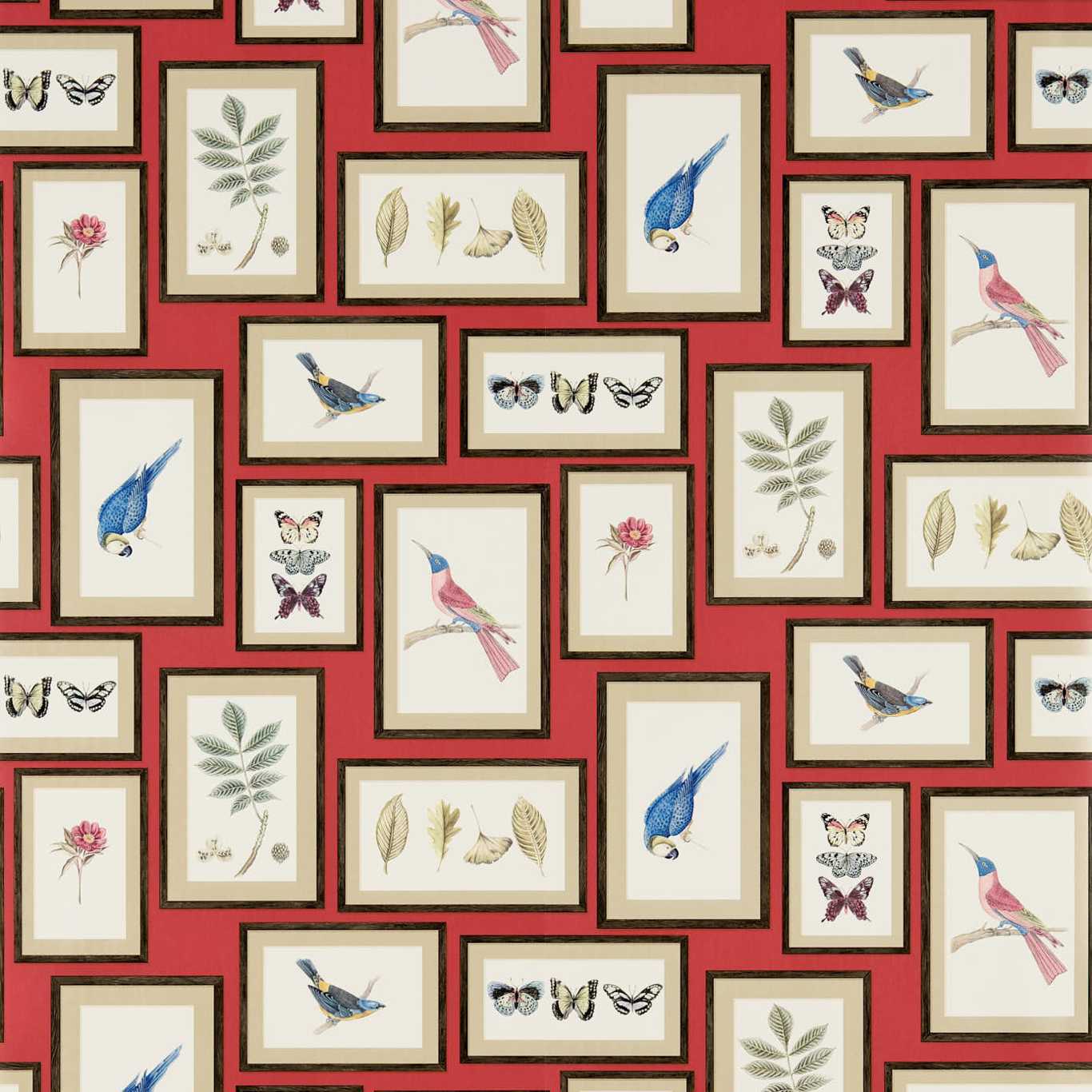 Picture Gallery Wallpaper - Red/Multi - DVOY213398 - Sanderson - Premier Wallcovering