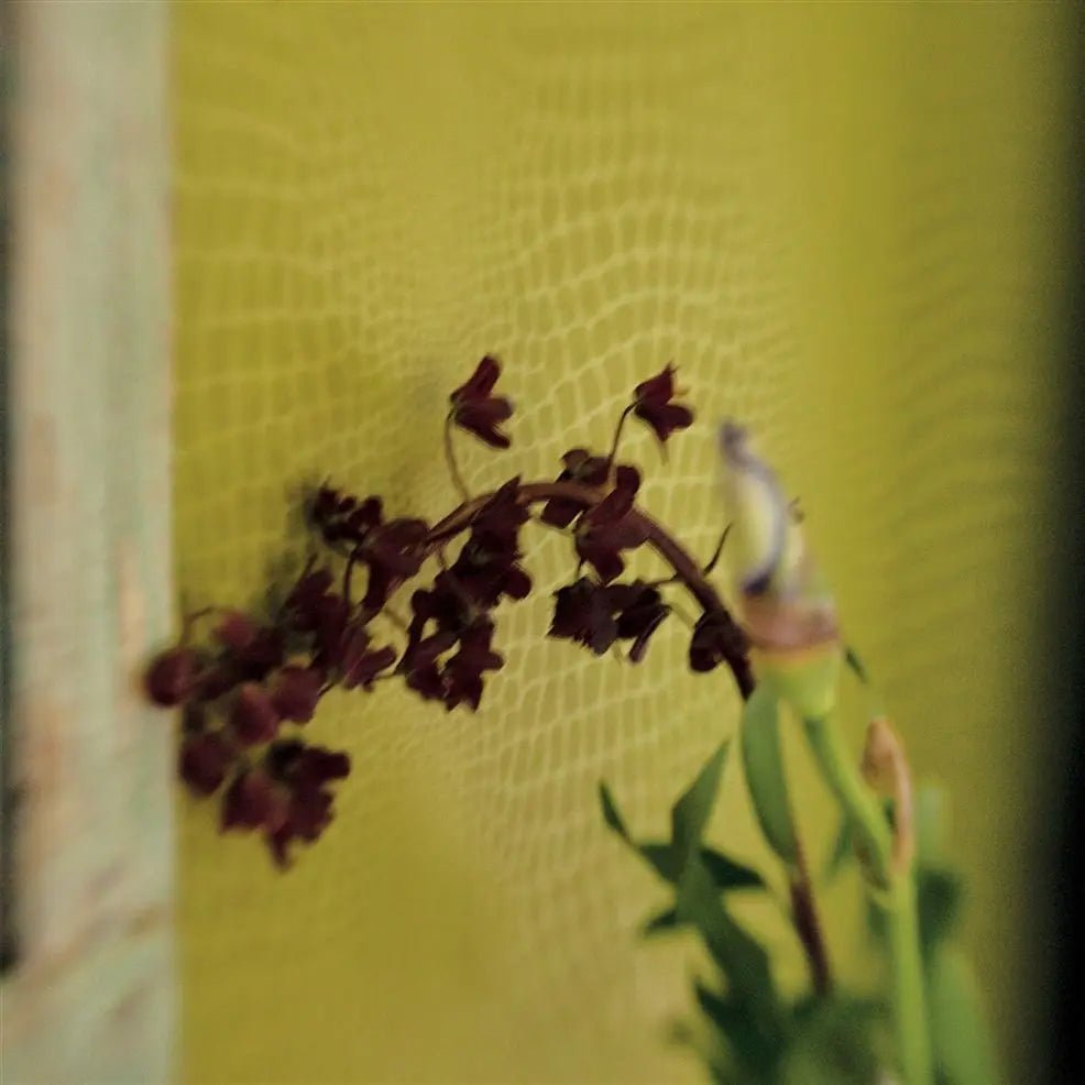 Pietra Wallpaper - Ecru - P544/03 - Designers Guild - Premier Wallcovering