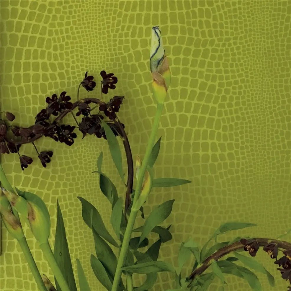 Pietra Wallpaper - Ecru - P544/03 - Designers Guild - Premier Wallcovering