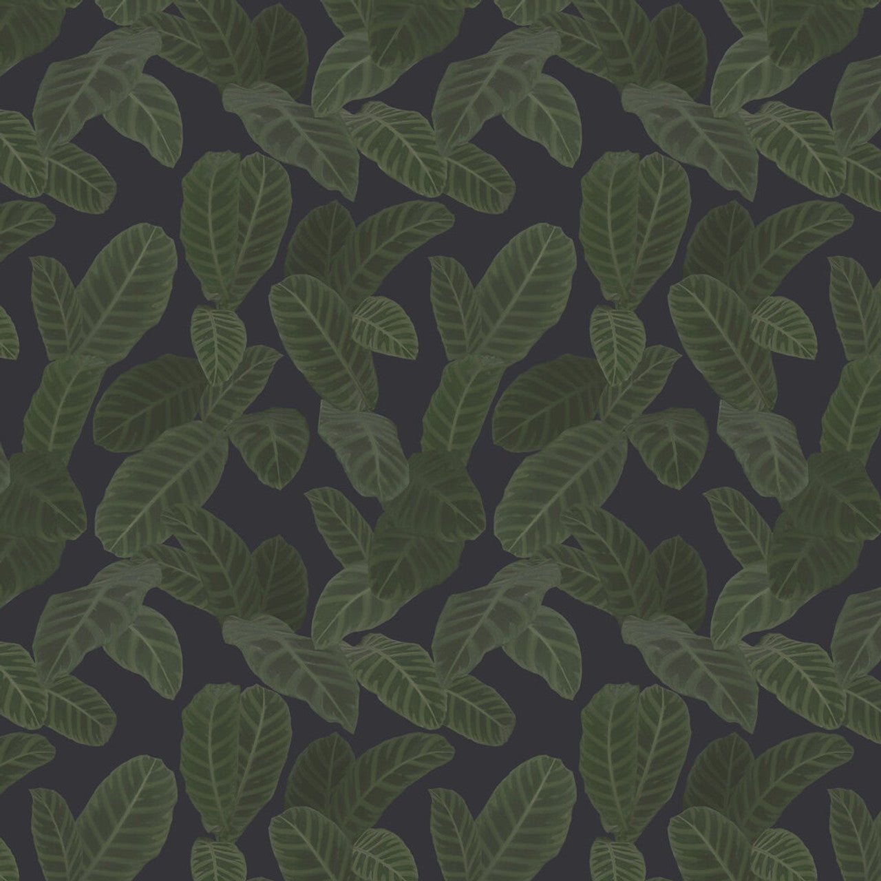 Piner Eden Wallpaper - Charcoal - Ted Baker - 13126 - Premier Wallcovering