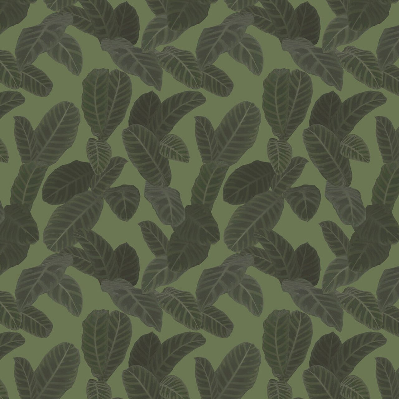 Piner Eden Wallpaper - Green - Ted Baker - 13127 - Premier Wallcovering