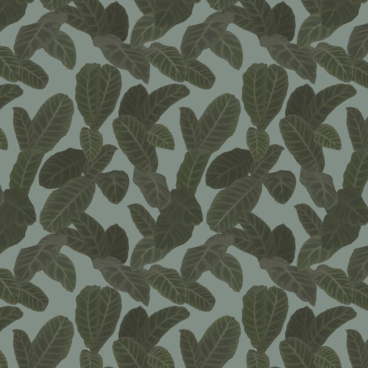 Piner Eden Wallpaper - Grey - Ted Baker - 13129 - Premier Wallcovering
