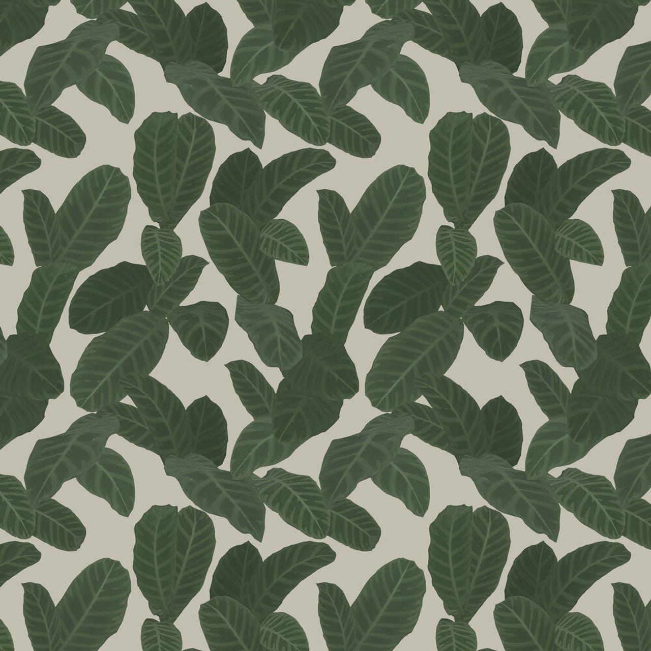 Piner Eden Wallpaper - Nude - Ted Baker - 13128 - Premier Wallcovering