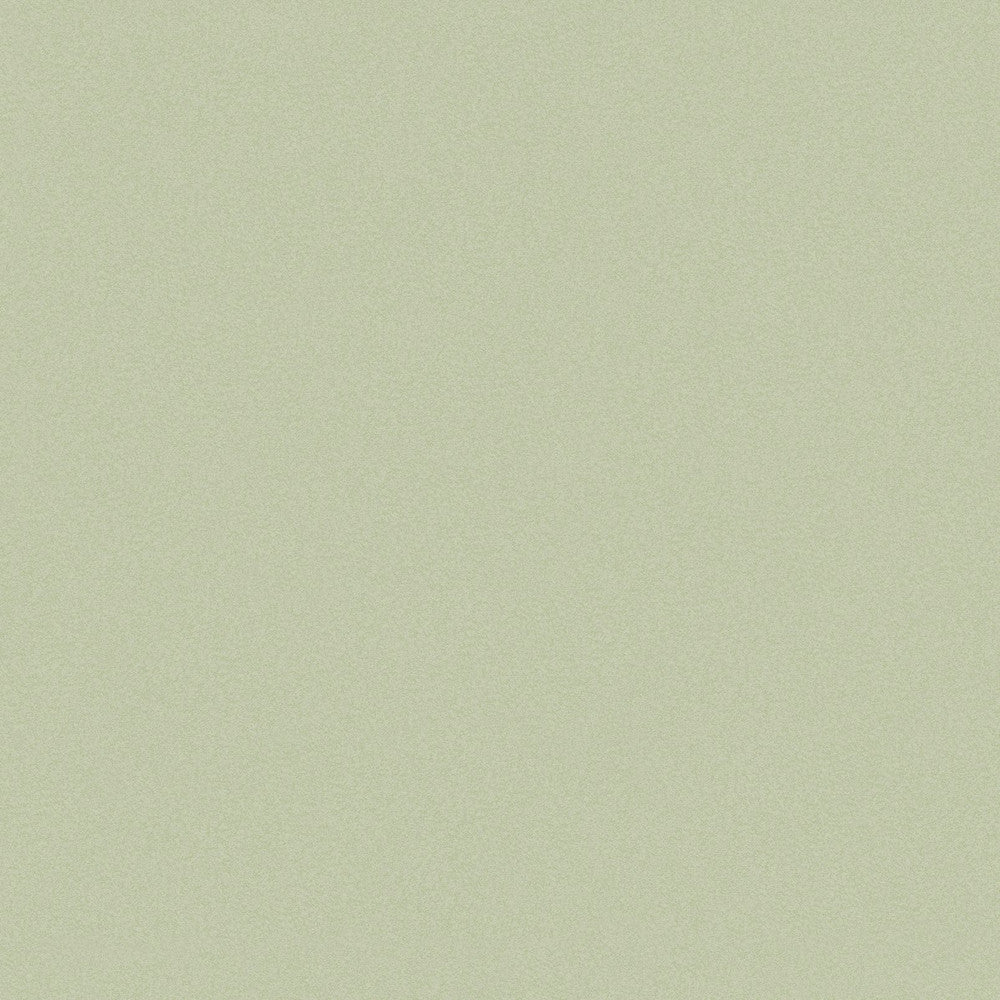 Plain Wallpaper - Sage - Joules - 120885 - Premier Wallcovering