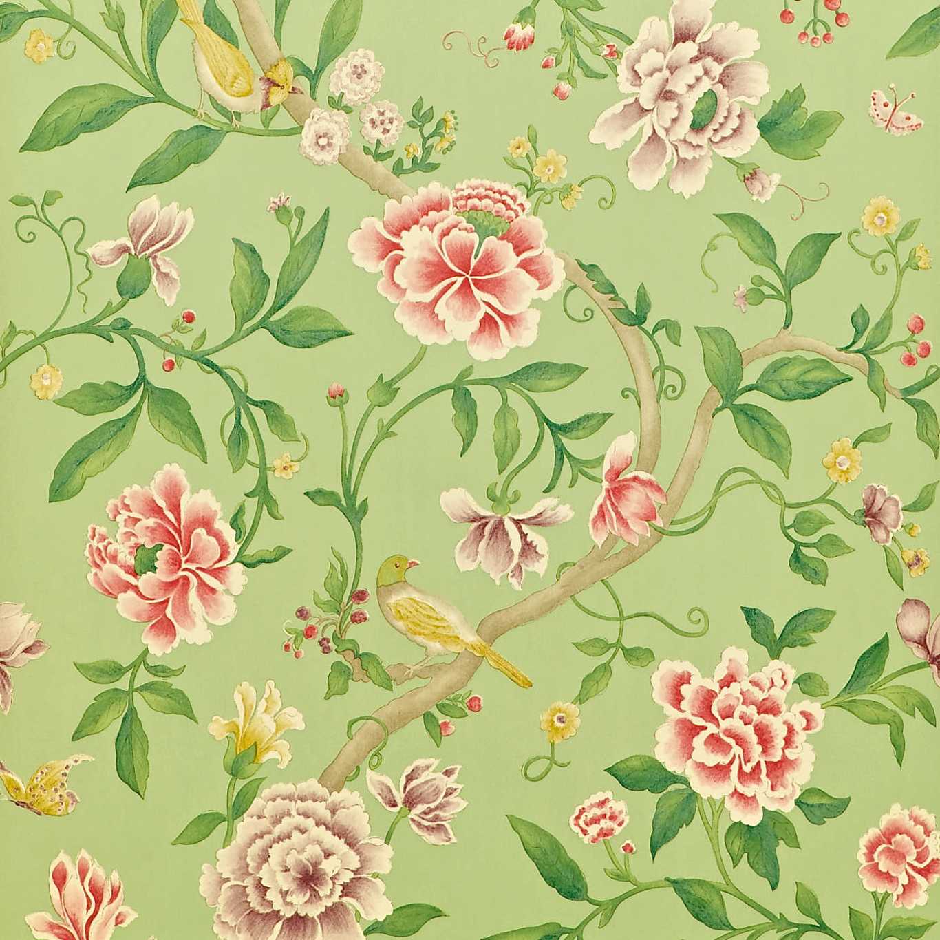 Porcelain Garden Wallpaper - Rose/Fennel - DCAVPO101 - Sanderson - Premier Wallcovering