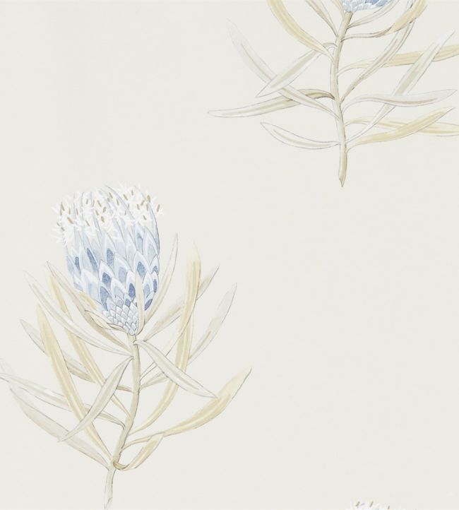 Protea Flower Wallpaper - China Blue/Canvas - DART216327 - Sanderson - Premier Wallcovering
