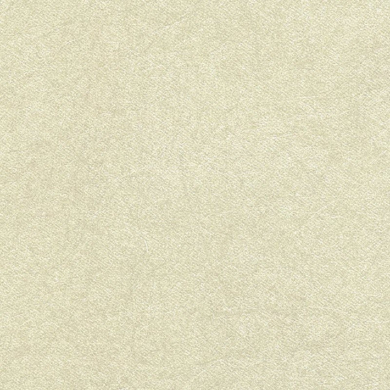 Quartz Wallpaper - Plaster - Osborne & Little - CW5410-14 - Premier Wallcovering