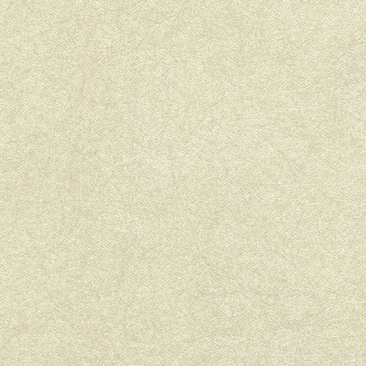 Quartz Wallpaper - Plaster - Osborne & Little - CW5410-14 - Premier Wallcovering
