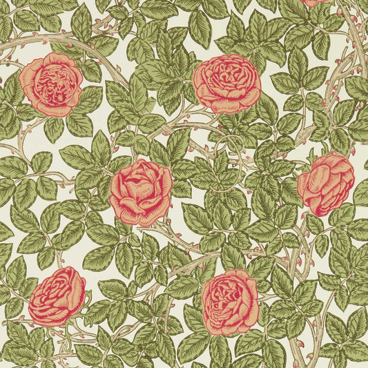 Rambling Rose Wallpaper - Twining Vine - 217207 - Morris & Co - Premier Wallcovering