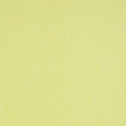Regatta Raffia Wallpaper - Citrus - Thibaut - T5706 - Premier Wallcovering