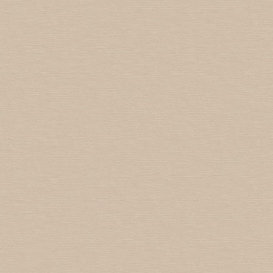 Rendes-vous Uni Wallpaper - Taupe Irise - Casadeco - 29011403 - Premier Wallcovering