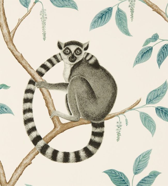 Ringtailed Lemur Wallpaper - Stone/Eucalyptus - DGLW216665 - Sanderson - Premier Wallcovering