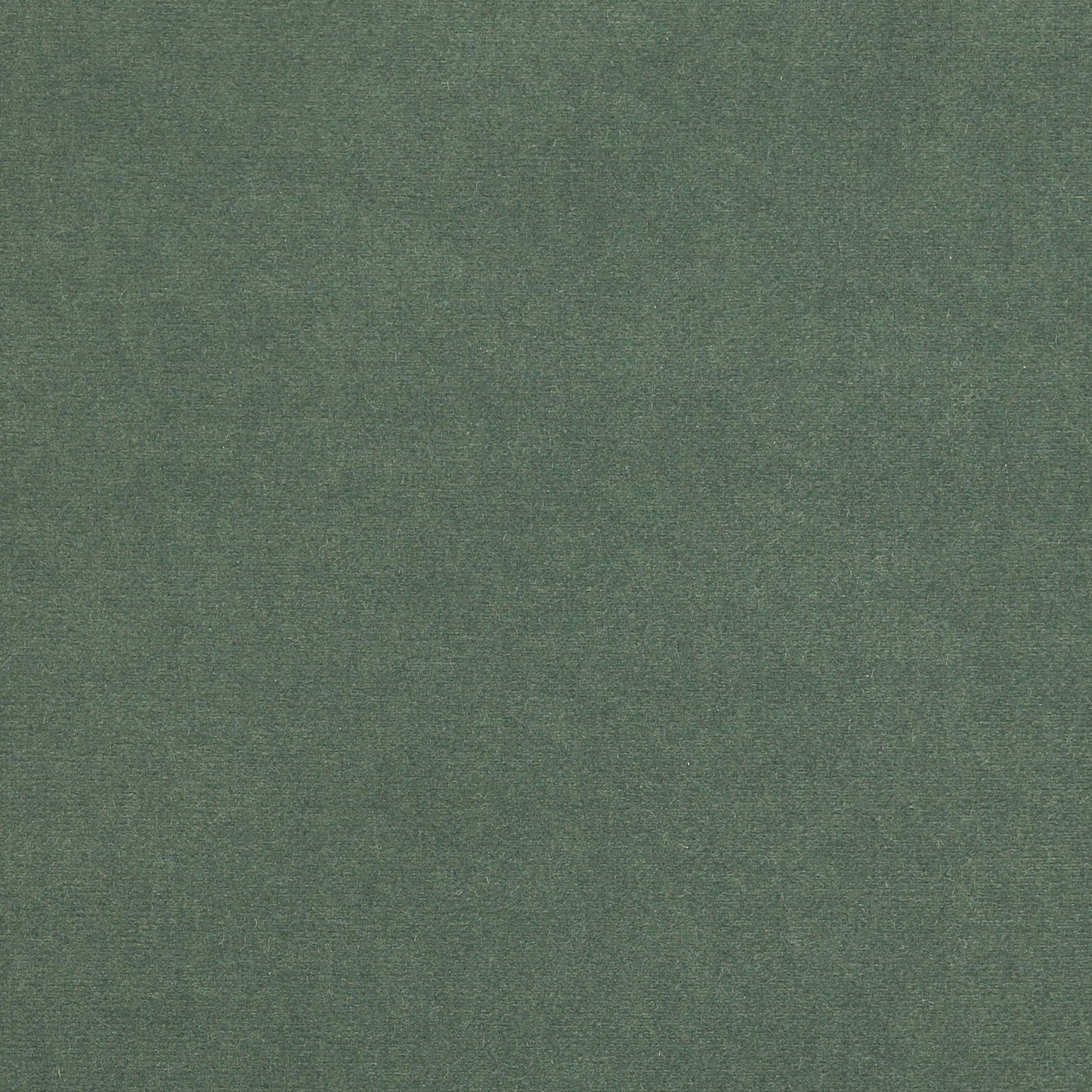 Rivoli Fabric - Sauge - Manuel Canovas - 04982/46 - Premier Wallcovering