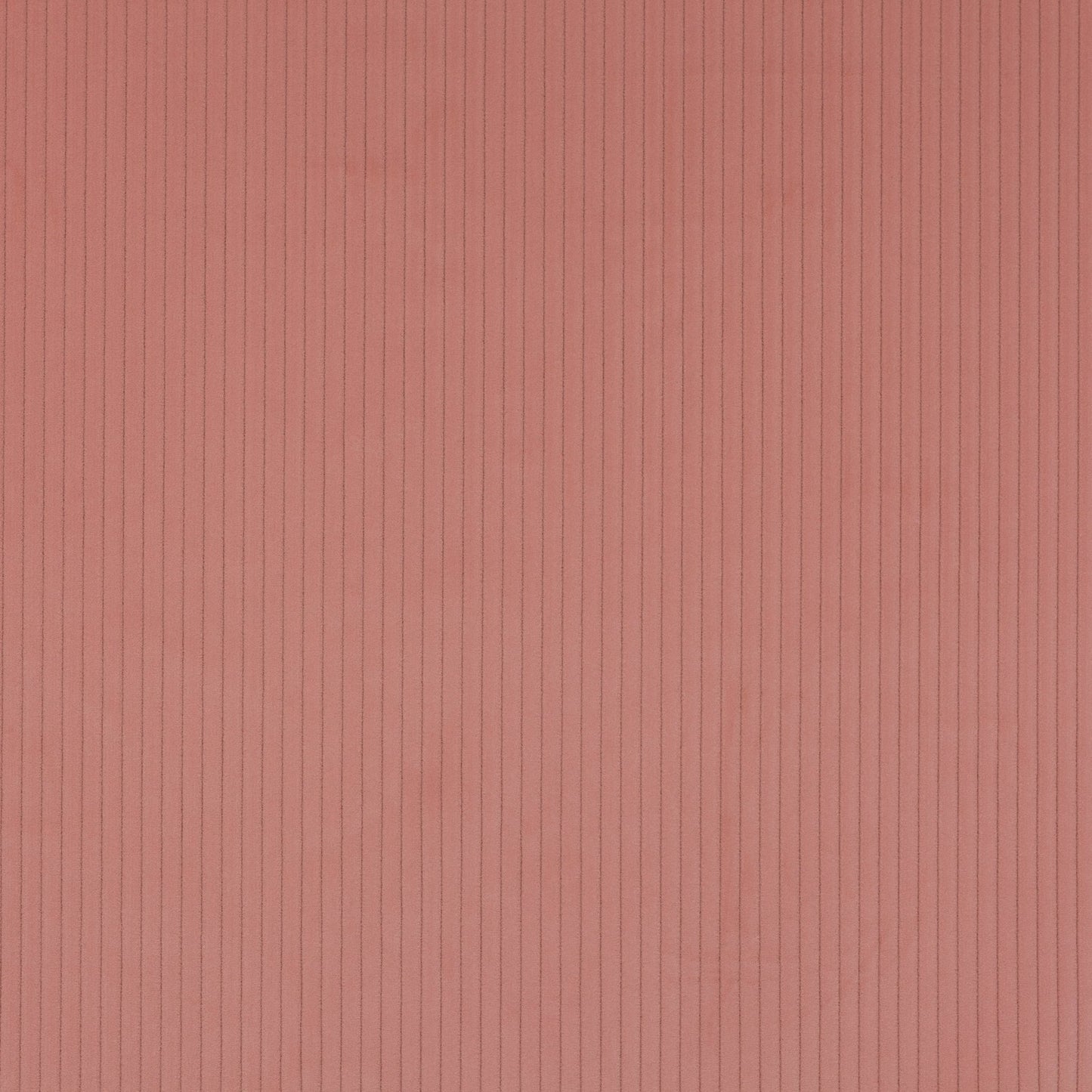 Roma Fabric - Dragee - Manuel Canovas - M4058-19 - Premier Wallcovering