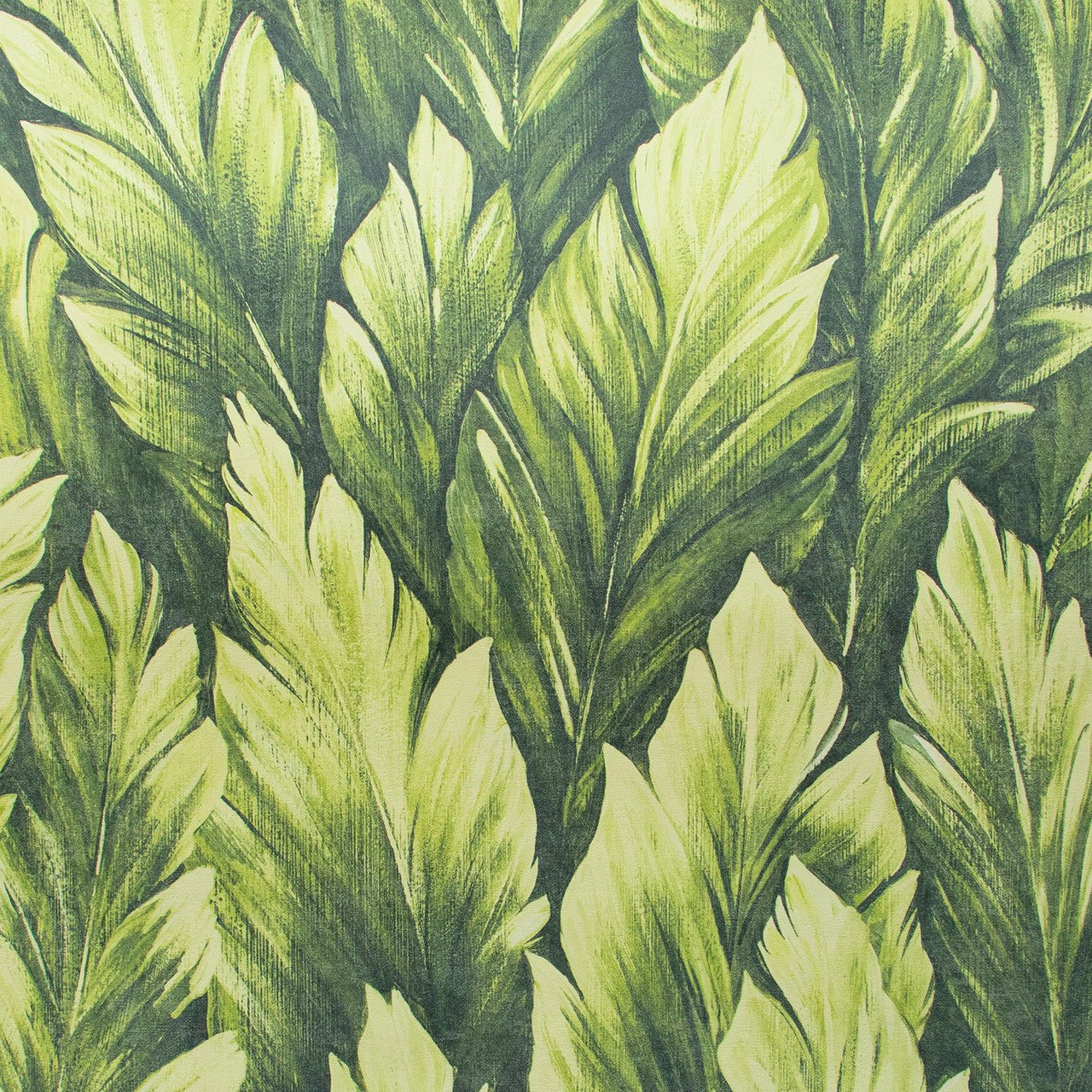 Samoa Tropical Wallpaper - Avocado - Hohenberger - 26708 - Premier Wallcovering